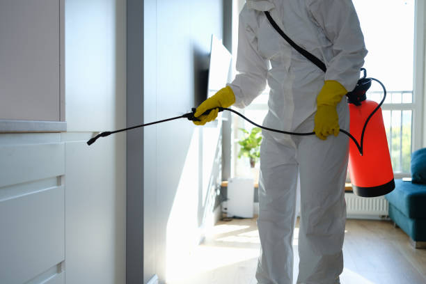 Best Mold Removal Near Me  in Towanda, PA
